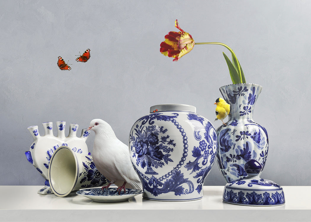 Royal White - Sander van Laar - Royal White - Sander van Laar.jpg