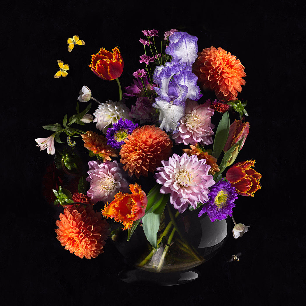 Royal Black - Sander van Laar - Royal Black - Sander van Laar.jpg