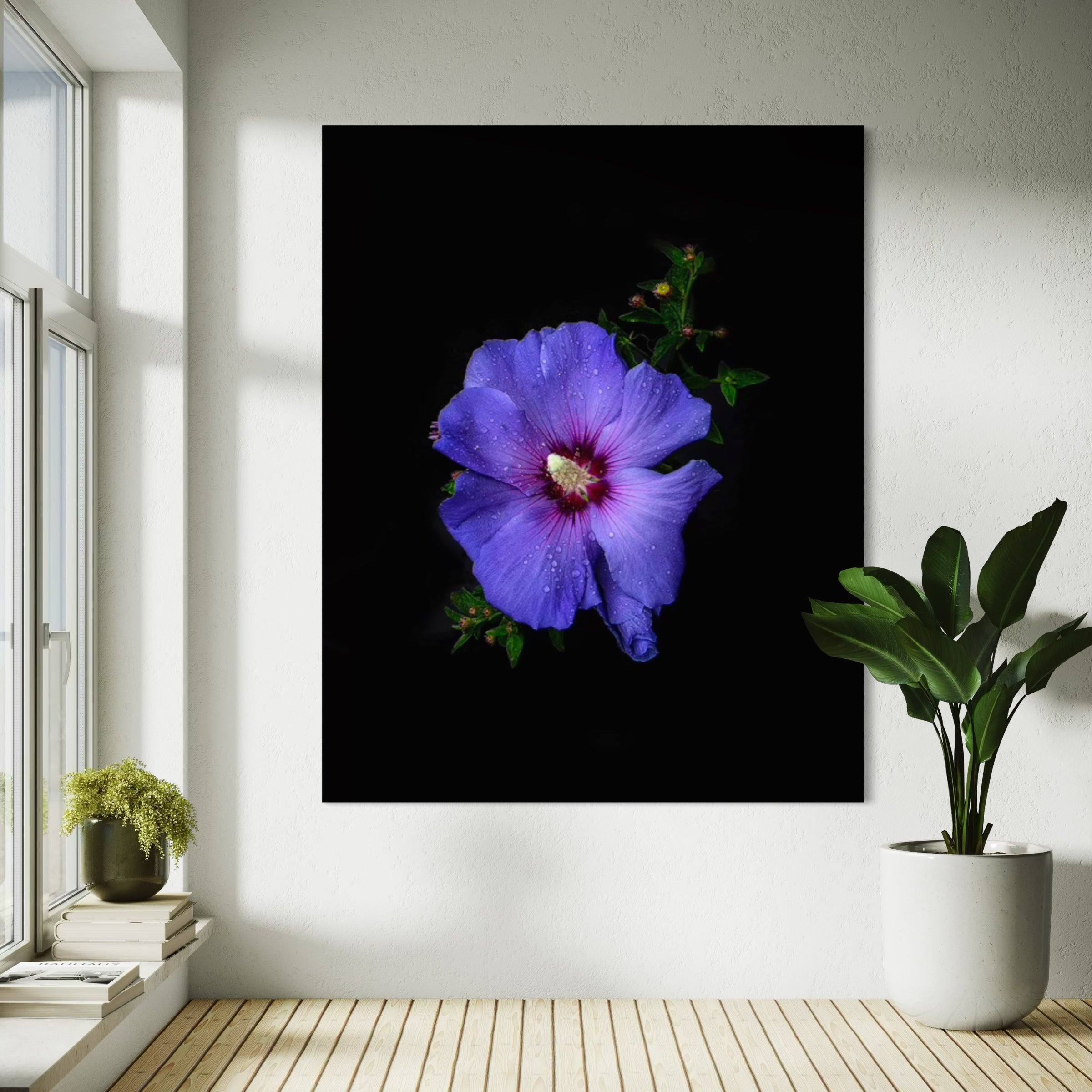 Royal Hybiscus - Sander van Laar - 3.jpeg