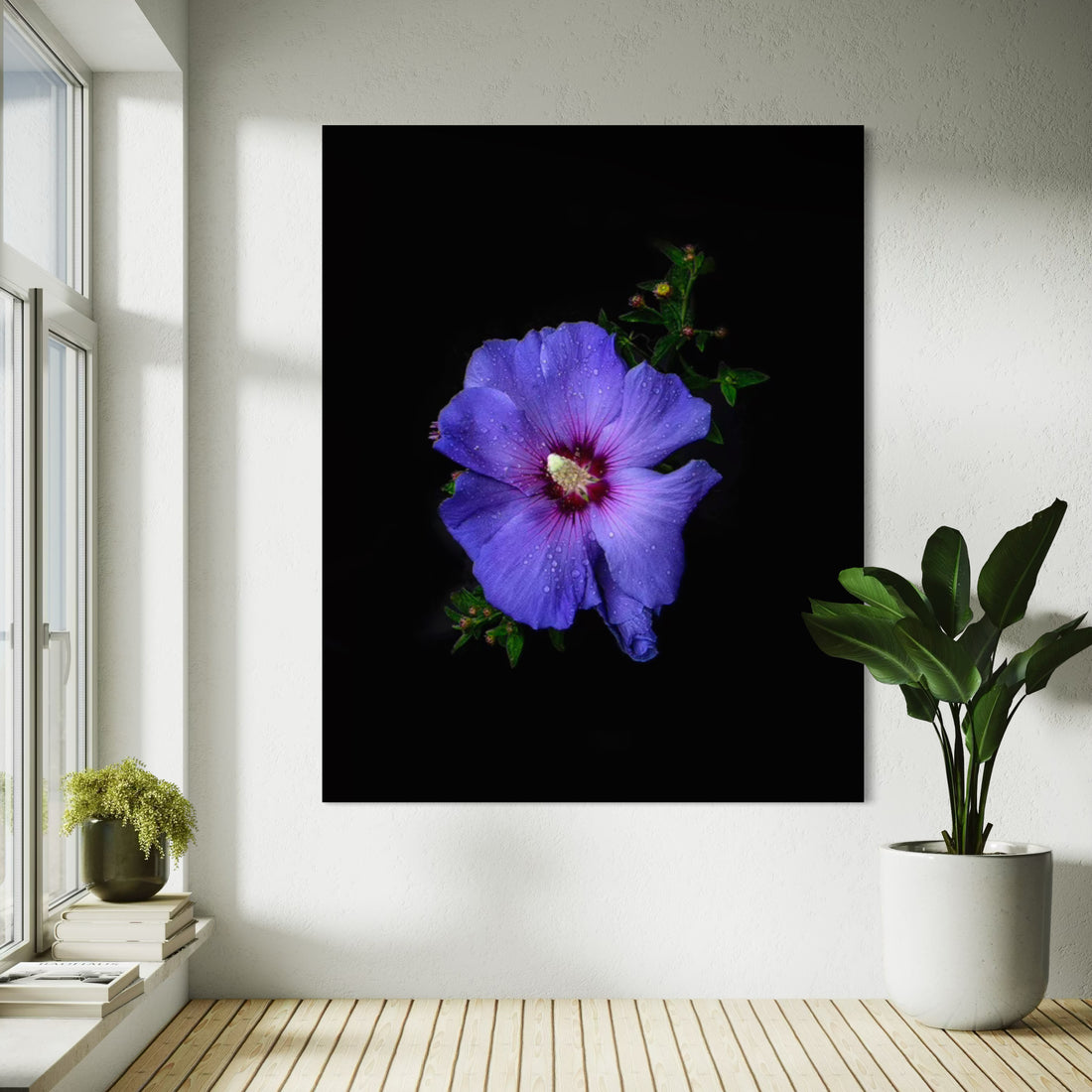 Royal Hybiscus - Sander van Laar - 3.jpeg