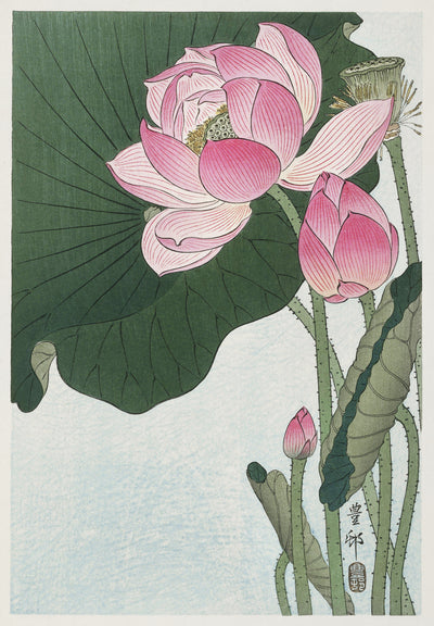 Blühende Lotosblumen (1920 - 1930) von Ohara Koson