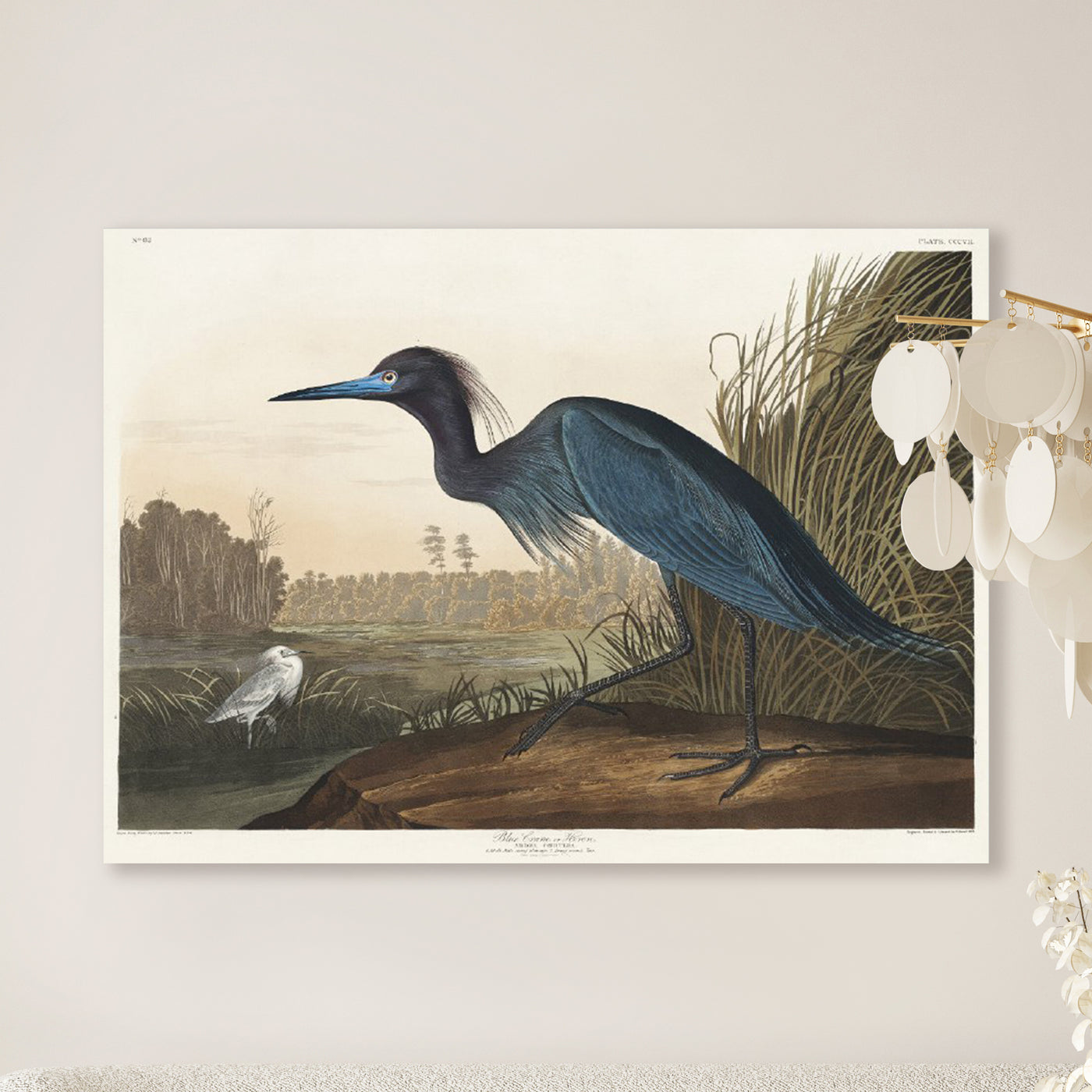 Blauer Kranich oder Reiher aus Birds of America (1827) von John James Audubon