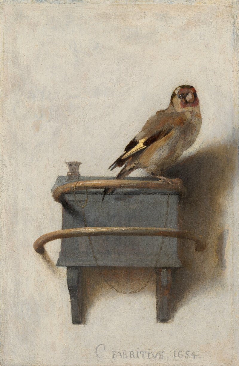 Carel Fabritius, Der Stieglitz, 1654