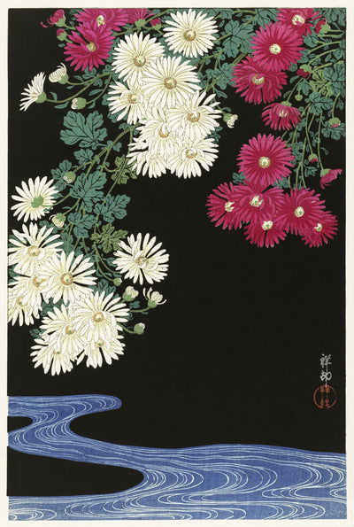 Chrysanthemen (1925-1936) von Ohara Koson