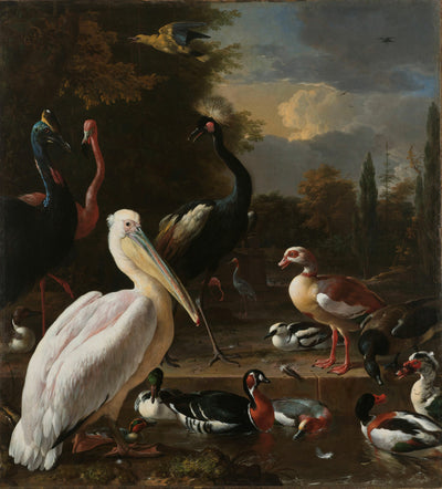 Ein Pelikan und andere Vögel in der Nähe eines Wasserbeckens, bekannt als "Die schwimmende Feder", Melchior d'Hondecoeter, um 1680