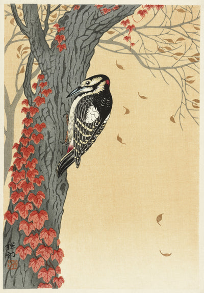 Buntspecht im Baum mit rotem Efeu (1925 - 1936) von Ohara Koson