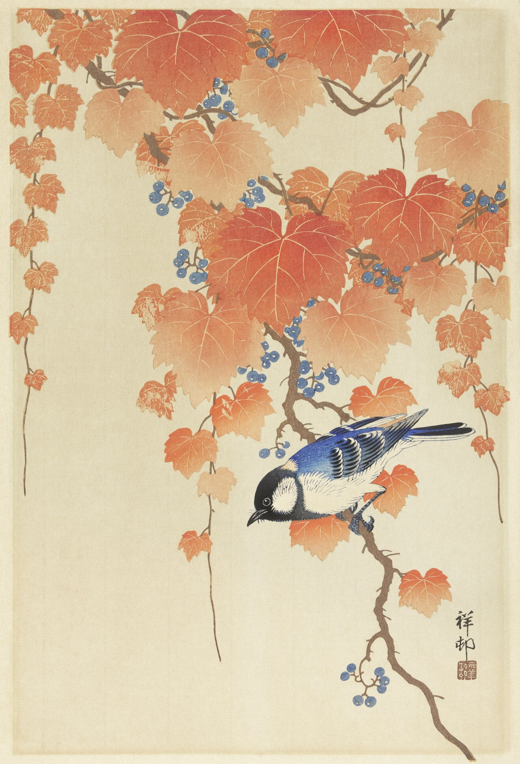 Kohlmeise auf einem Paulownia-Zweig (1925 - 1936) von Ohara Koson