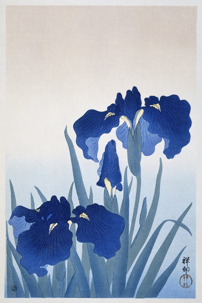 Irisblüten (1925 - 1936) von Ohara Koson