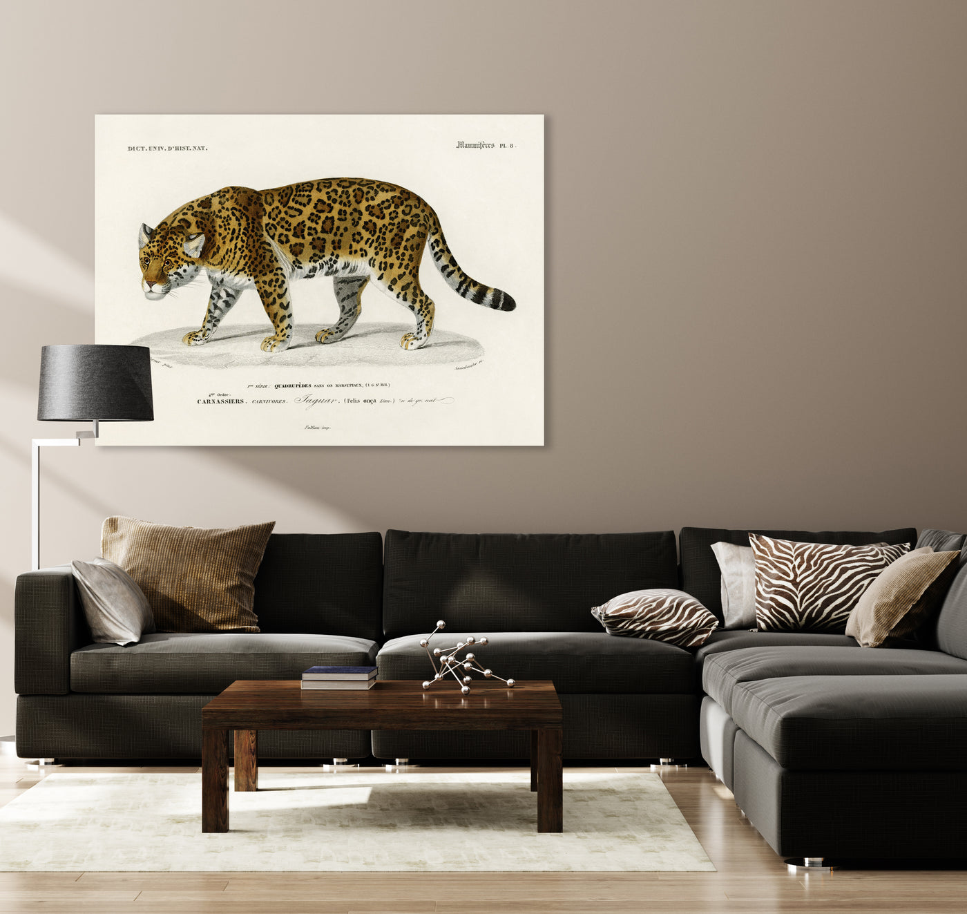 Jaguar (Panthera Onca) illustriert von Charles Dessalines D' Orbigny