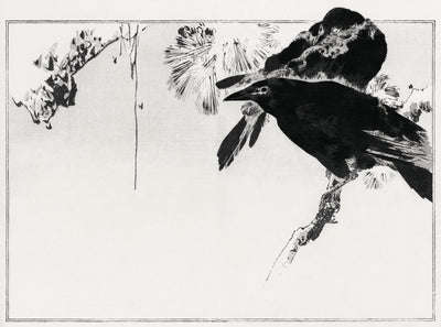 Japanische Krähen sitzen auf einem Ast. Illustration aus Seitei Kacho Gafu (1890-1891) von Wantanabe Seitei