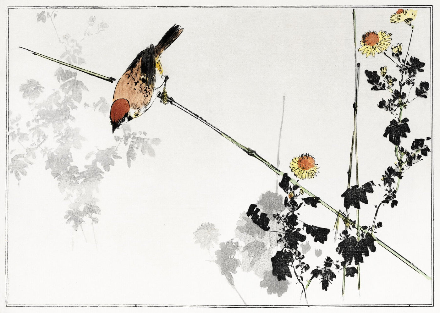 Japanischer Schwalbenvogel, Illustration aus Seitei Kacho Gafu (1890-1891) von Wantanabe Seitei