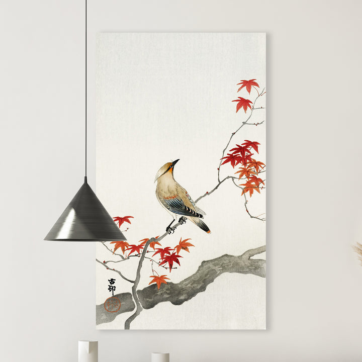 Japanischer Pestvogel auf Ahorn (1900 - 1936) von Ohara Koson