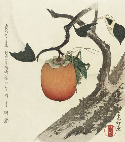 Kakifrucht mit Heuschrecke (ca. 1890-1900) von Katsushika Hokusai