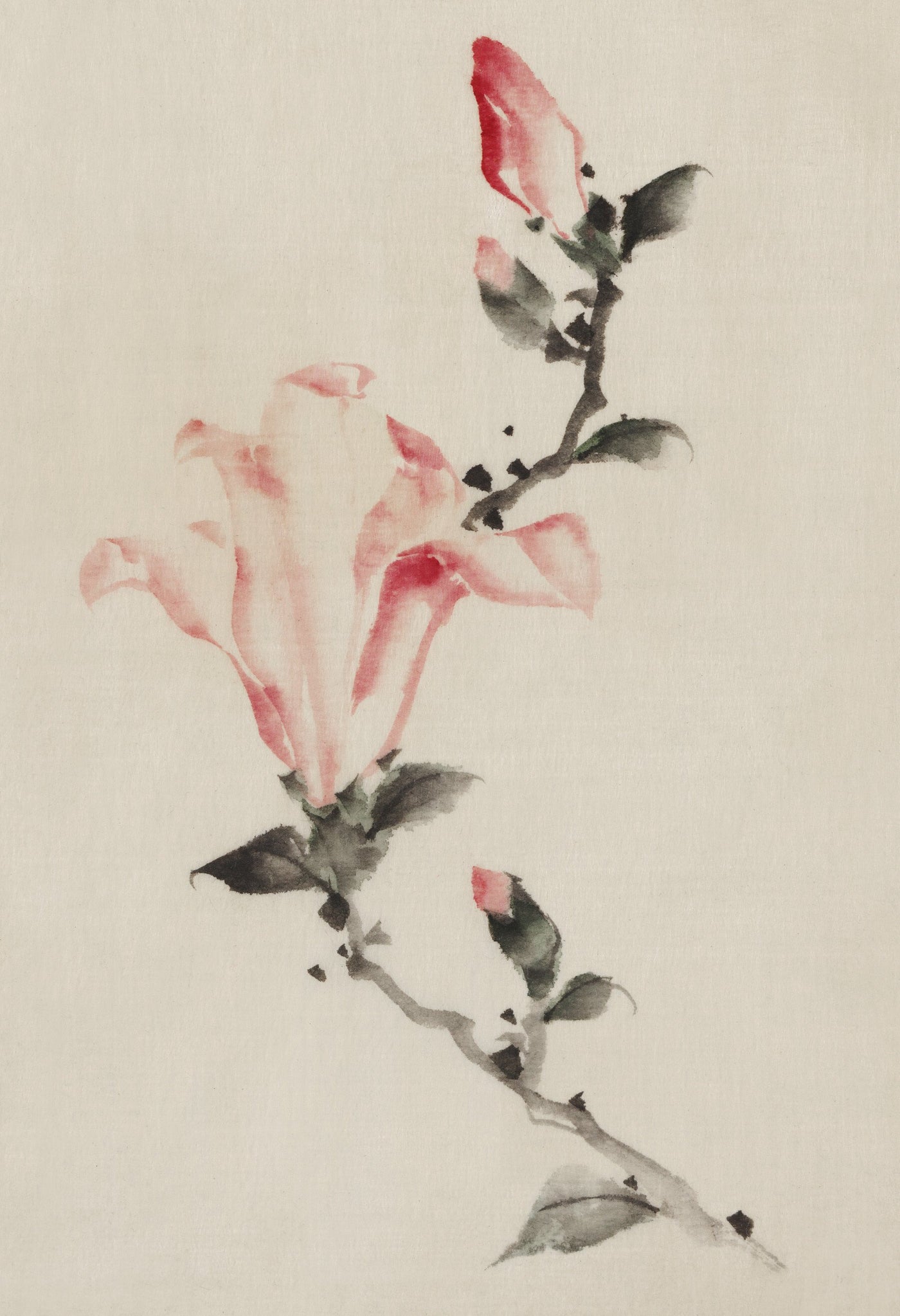 Große rosa Blüte auf einem Stiel mit drei zusätzlichen Knospen von Katsushika Hokusai
