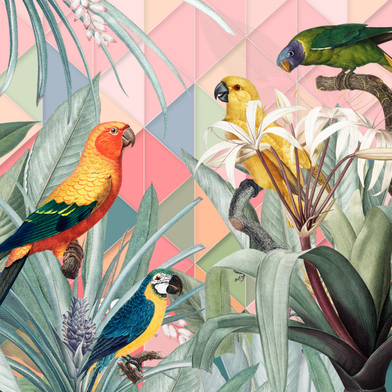 Papageien überall – Marja van den Hurk