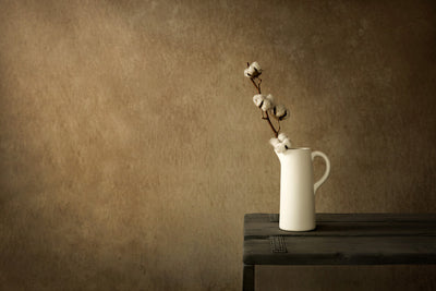 Stillleben mit Baumwollzweig in weißer Vase – Mayra Photography