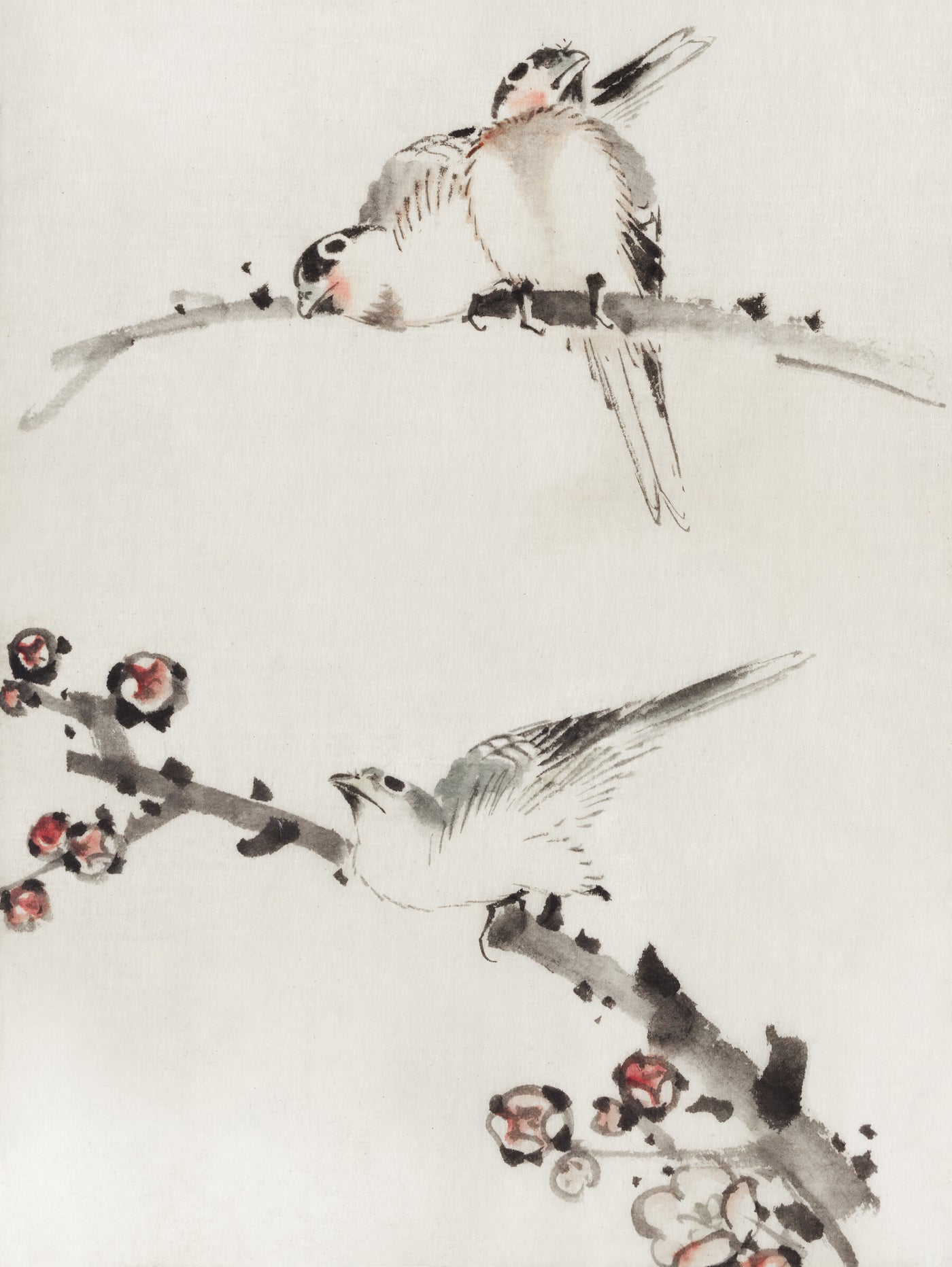 Drei Vögel auf Zweigen, einer mit Blüten von Katsushika Hokusai