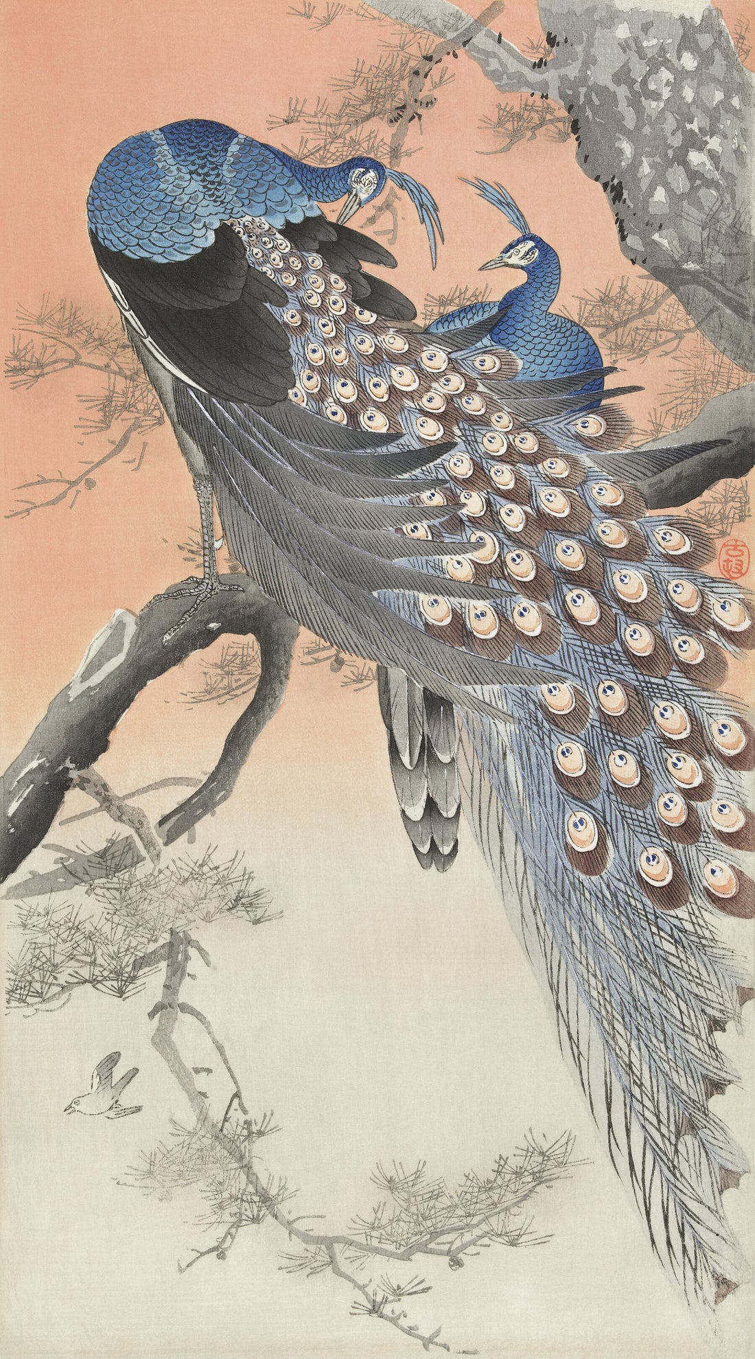 Zwei Pfaue auf einem Ast (1900 - 1930) von Ohara Koson