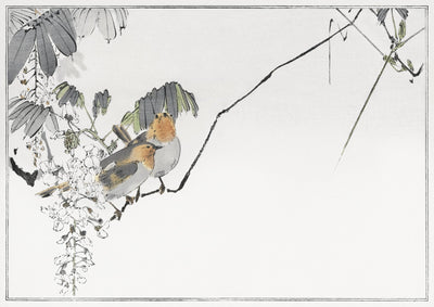 Zwei Spatzen hocken auf einem Ast. Illustration aus Seitei Kacho Gafu (1890-1891) von Wantanabe Seitei