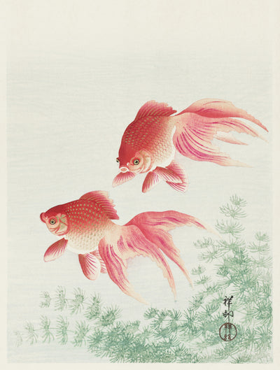 Zwei Schleiergoldfische (1926) von Ohara Koson