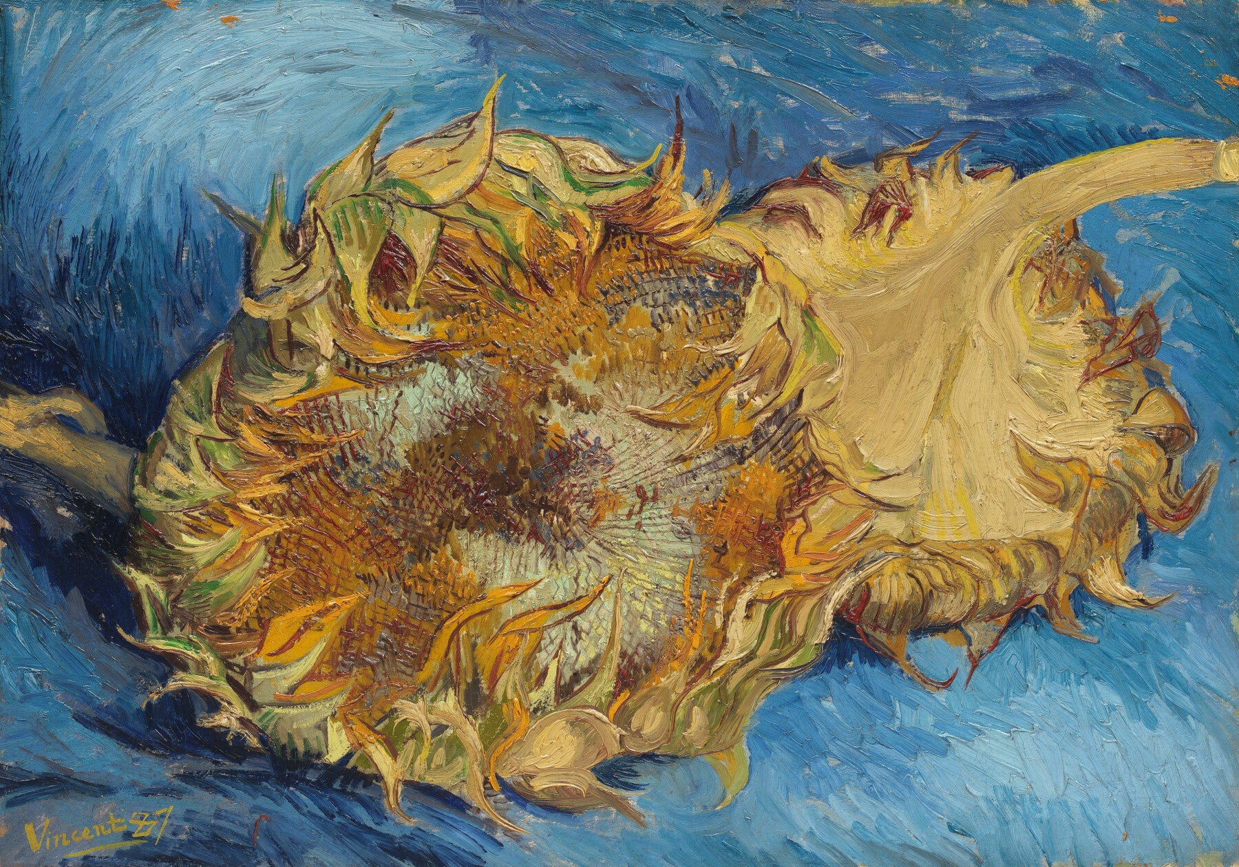 Vincent van Gogh - Sonnenblumen