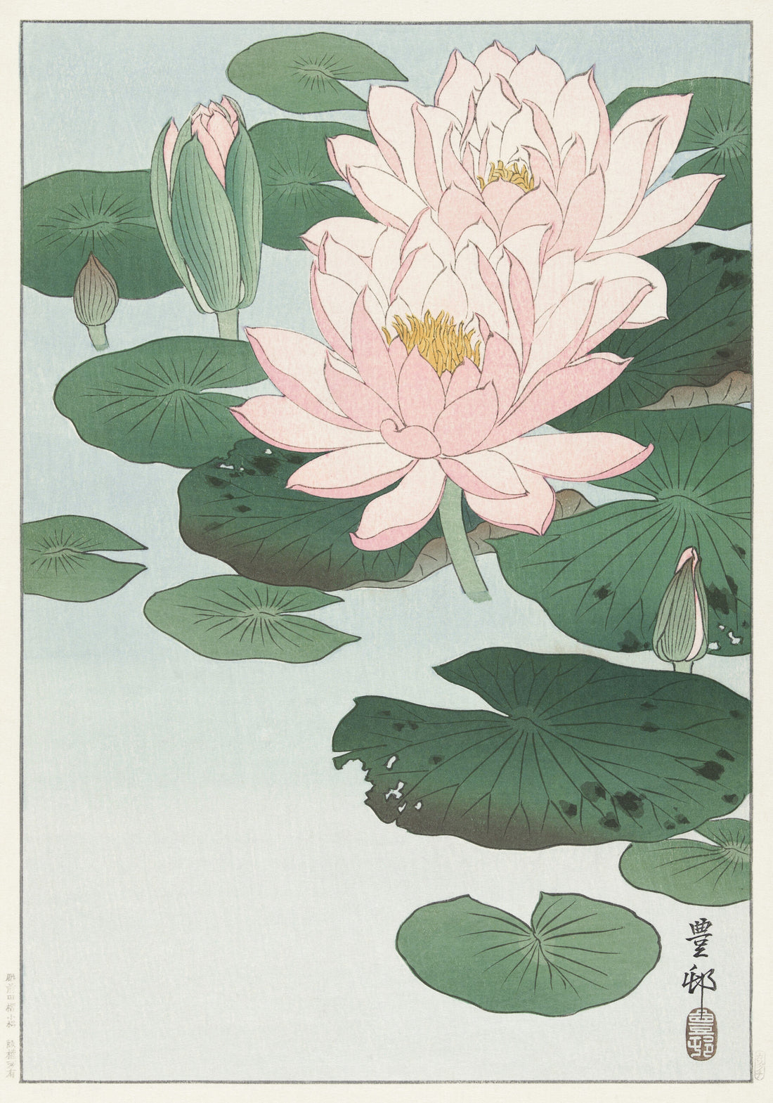 Seerose (1920 - 1930) von Ohara Koson