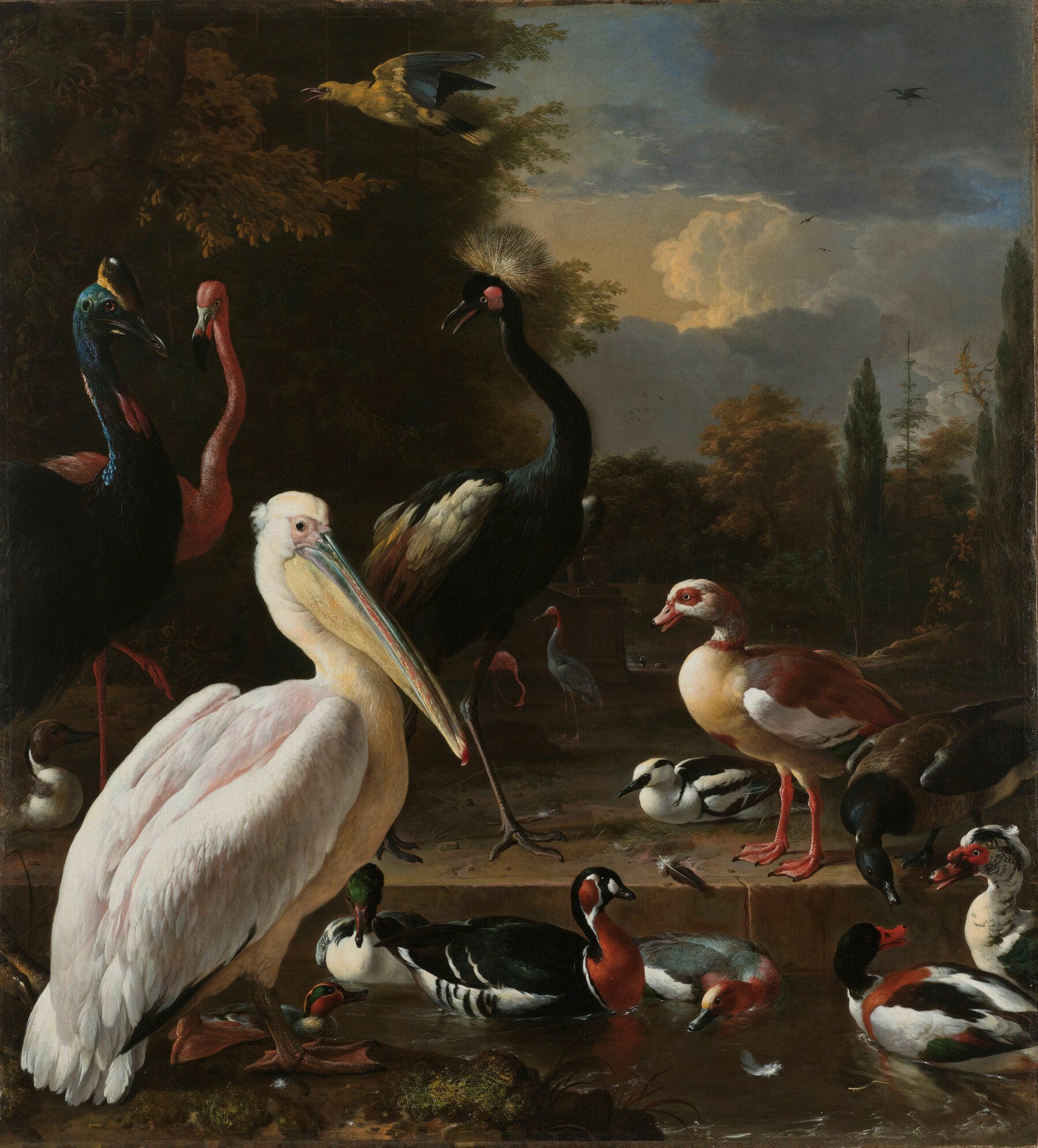 Het drijvend veertje - Melchior d'Hondecoeter